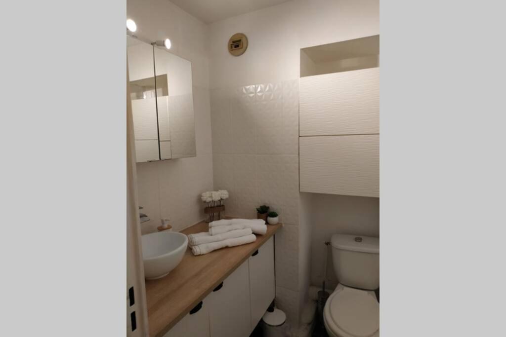 Studio Climatise, 50 M De La Prom, Wifi Nice Luaran gambar
